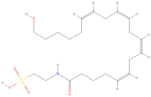 Chemical structure of 20-hydroxy N-Arachidonoyl Taurine