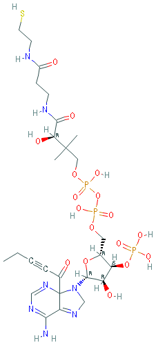 Chemical structure of 4-pentynoyl-Coenzyme A (trifluoroacetate salt)