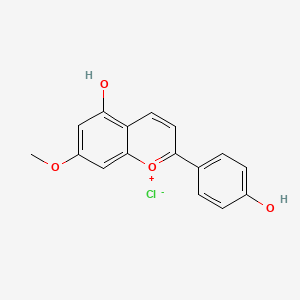 Chemical structure of 7-Methoxyapigeninidin
