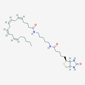 Chemical structure of Arachidonic Acid-biotin