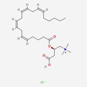 Chemical structure of Arachidonoyl-L-carnitine (chloride)