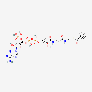 Chemical structure of Benzoyl Coenzyme A (sodium salt)