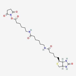 Chemical structure of Biotin-LC-LC-NHS