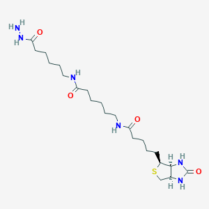 Chemical structure of Biotin-XX hydrazide