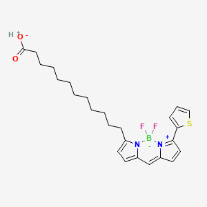 Chemical structure of BODIPY 558/568 C12