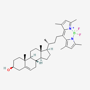 Chemical structure of BODIPY-Cholesterol