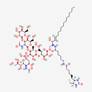 Chemical structure of C6 Biotin Ganglioside GM1 (d18:1/6:0)