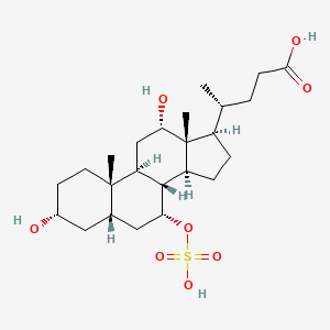 Chemical structure of 7-Sulfocholic acid