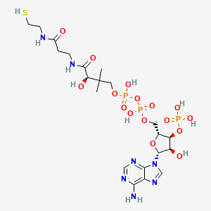 Chemical structure of Coenzyme A (sodium salt hydrate)