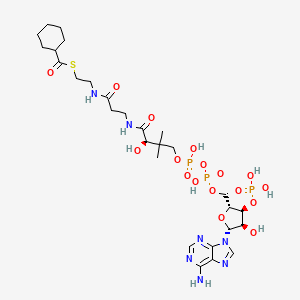 Chemical structure of Cyclohexanoyl Coenzyme A