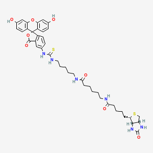 Chemical structure of Fluorescein Biotin