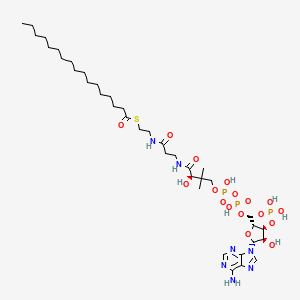 Chemical structure of Heptadecanoyl Coenzyme A (lithium salt)