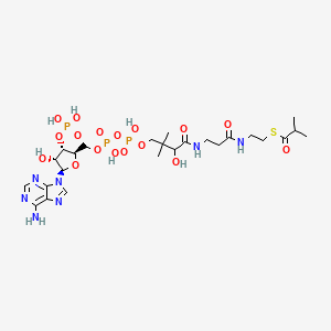 Chemical structure of Isobutyryl Coenzyme A (sodium salt)