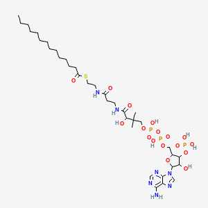 Chemical structure of Myristoyl Coenzyme A (hydrate)