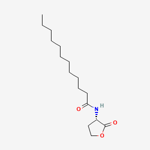Chemical structure of N-dodecanoyl-L-Homoserine lactone