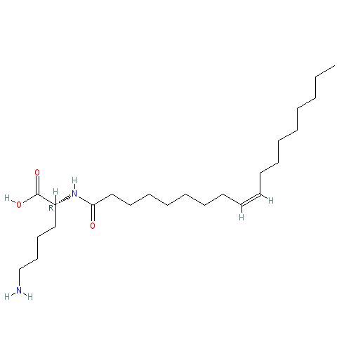 Chemical structure of Oleoyl-D-lysine (sodium salt)