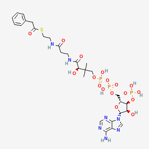 Chemical structure of Phenylacetyl-coa