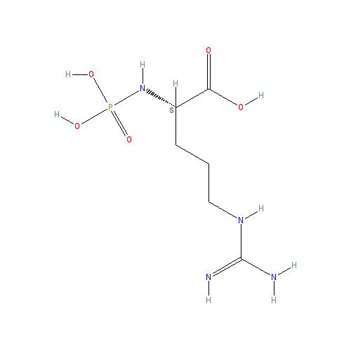 Chemical structure of Phospho-L-Arginine (lithium salt hydrate)
