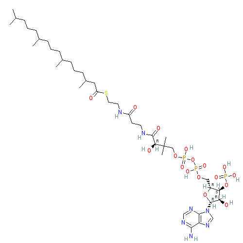Chemical structure of phytanoyl-Coenzyme A (triethylammonium salt)