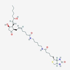 Chemical structure of Prostaglandin E2-biotin