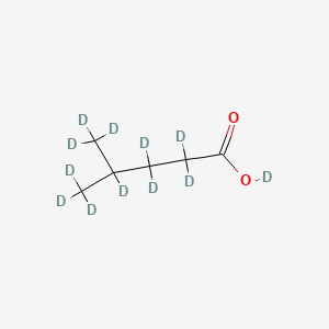 Chemical structure of 4-Methylpentanoic Acid-d12