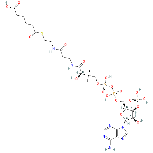 Chemical structure of Adipoyl Coenzyme A (sodium salt)