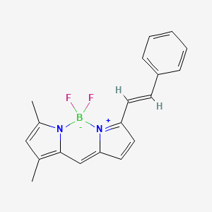 Chemical structure of STY-BODIPY