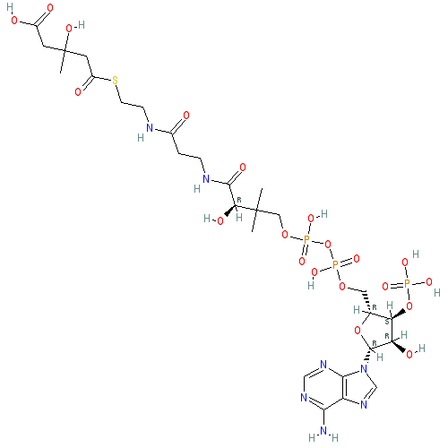 Chemical structure of 3-hydroxy-3-methylglutaryl Coenzyme A (sodium salt)