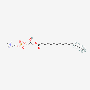 Chemical structure of 1-Palmitoyl-d9-2-hydroxy-sn-glycero-3-PC