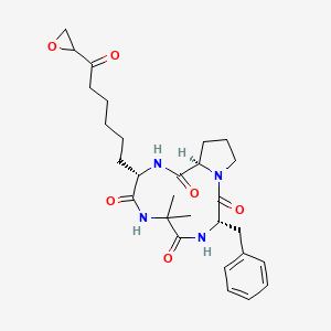 Chemical structure of Chlamydocin