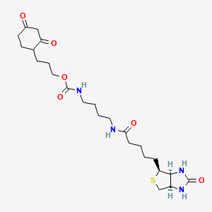 Chemical structure of DCP-Bio3