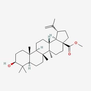 Chemical structure of Methyl Betulinate