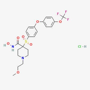 Chemical structure of SD 2590 hydrochloride