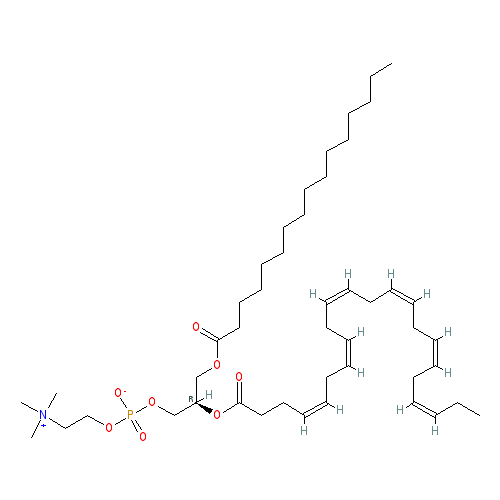Chemical structure of 1-Palmitoyl-2-Docosahexaenoyl-sn-glycero-3-PC