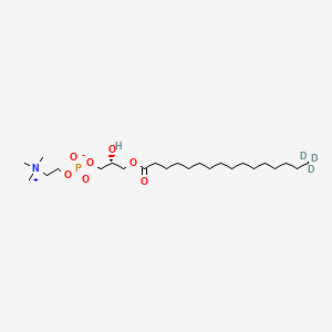 Chemical structure of 1-Palmitoyl-d3-2-hydroxy-sn-glycero-3-PC