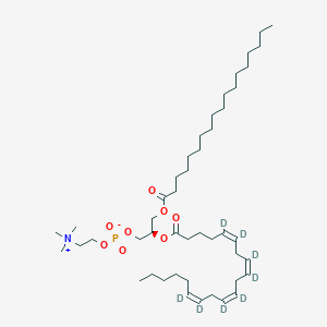 Chemical structure of 1-Stearoyl-2-Arachidonoyl PC-d8