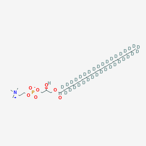 Chemical structure of 1-Stearoyl-d35-2-hydroxy-sn-glycero-3-PC