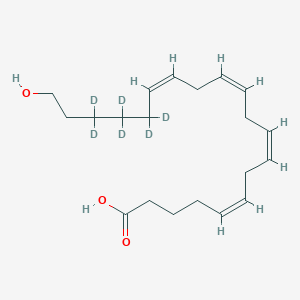 Chemical structure of 20-HETE-d6