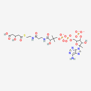 Chemical structure of 3-hydroxy-3-methylglutaryl-Coenzyme A-d3 (ammonium salt)