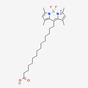 Chemical structure of BODIPY-Palmitate