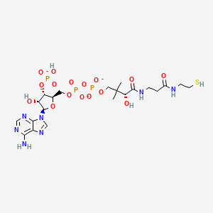 Chemical structure of Coenzyme A (lithium salt hydrate)