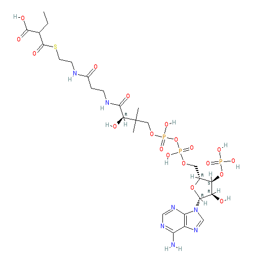 Chemical structure of Ethylmalonyl Coenzyme A (sodium salt)