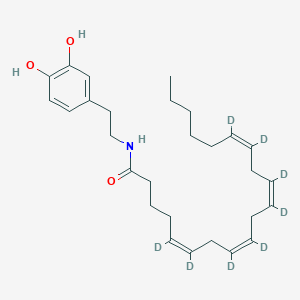 Chemical structure of N-Arachidonoyl Dopamine-d8
