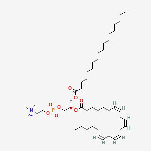 Chemical structure of 1-Stearoyl-2-Docosatetraenoyl-sn-glycero-3-PC