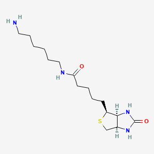 Chemical structure of Biotinyl hexylamine