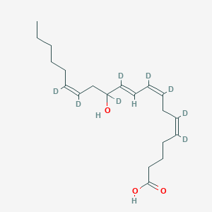Chemical structure of (±)12-HETE-d8
