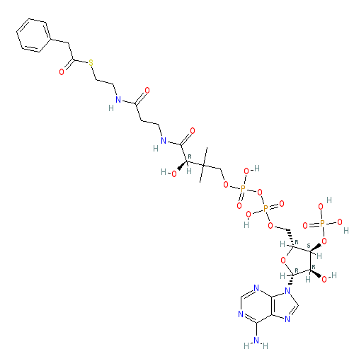 Chemical structure of Phenylacetyl-Coenzyme A (sodium salt)