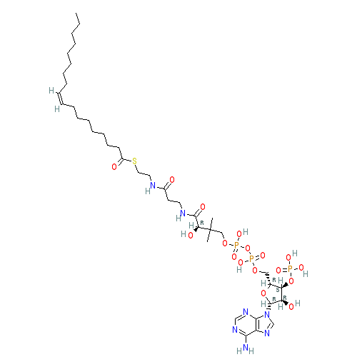 Chemical structure of Oleoyl-Coenzyme A (sodium salt)