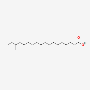 Chemical structure of 16-methyl Stearic Acid
