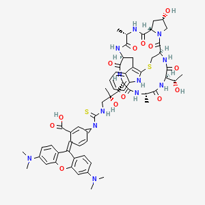 Chemical structure of Phalloidin-TRITC